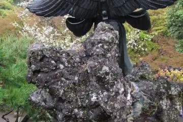 <p>Goblins with wings</p>