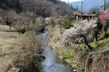 Small stream beside the road