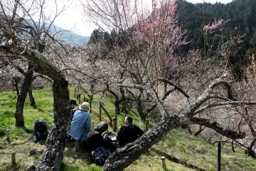 Picnic spot perched on a slope