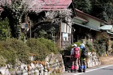 There are a few places along the way to stop for coffee or soba noodles