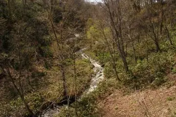 Melting snow equals strong creek flow