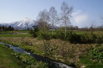 Picture perfect Niseko spring afternoon