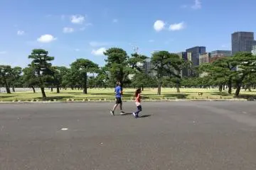 View the city from a different perspective when you run.