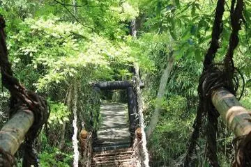 Shikoku Mura Art Village