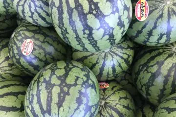 Yairo Watermelon Festival 2026