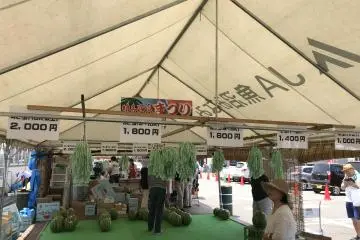 There are plenty of watermelons, in varying sizes, that you can purchase to take with you as well