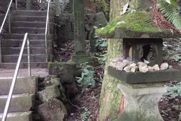 Ascending the stone steps is the only way to reach the reliefs. Not wheelchair accessible!