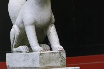 A cunning fox god