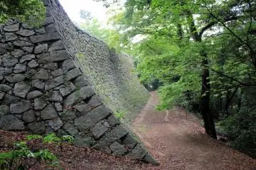 There are many paths up and down the hill. This one goes down the back, if there really is such a thing