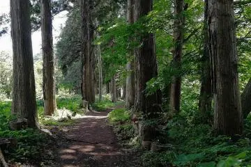 The path from the hostel to the lake 
