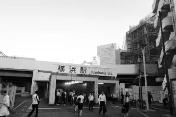 The North Gate