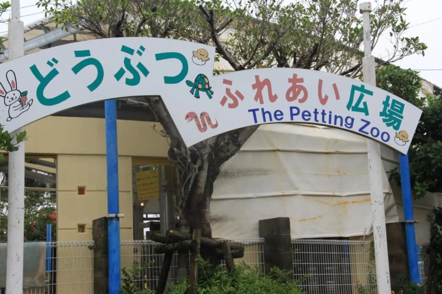 The Okinawa Zoo's Petting Zoo