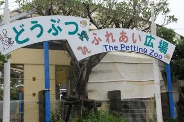 The Okinawa Zoo's Petting Zoo