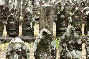 Close-up - Cemetery near the lake