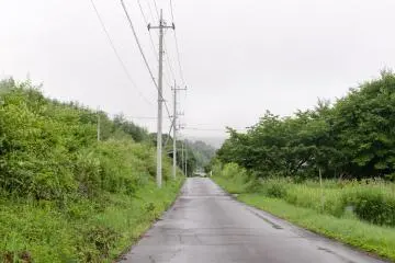 On the way to the lake