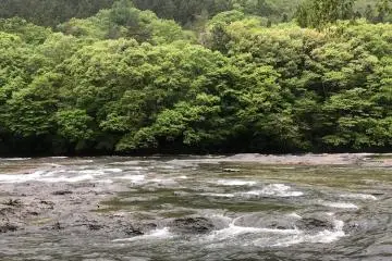 The water flow is very strong at Fukiware Falls