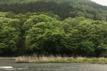 Fukiware Falls in 'green season'