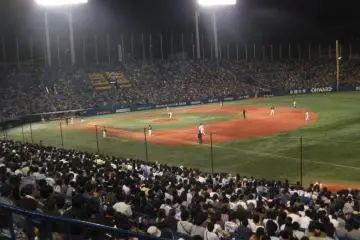 <p>The Tokyo faithful</p>