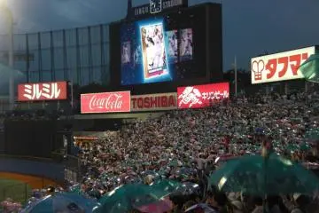 <p>Home run!</p>