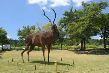 Some of the installations are impressively large