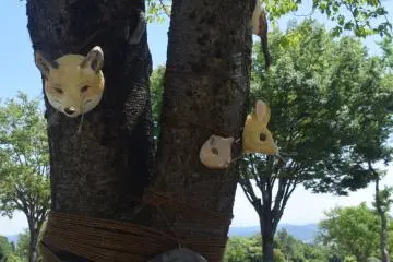 Be sure to keep your eyes peeled - even on tree trunks!