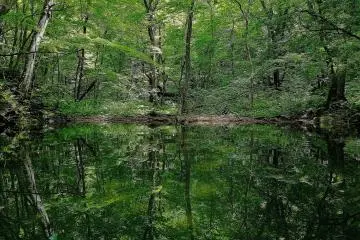 Perfect mirror