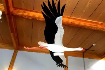 Many life size models to help bird watchers spot the storks