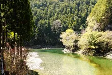Tenkawa River