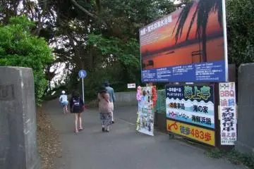 The road down to the beach, just before you come to the Marine Park