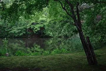 The lakes forms several small inlets