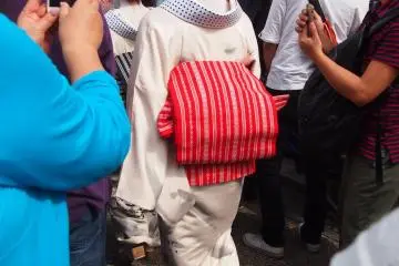 <p>3 wonderfully attired geishas appeared and everyone immediately turned their phones and cameras towards them, like bees to honey.</p>