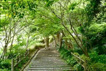 <p>Nice walking path in the garden</p>