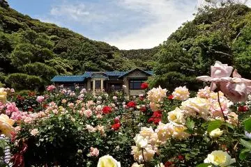 <p>Originally a summer villa of Marquis Maeda (15th head of Maeda clan)</p>