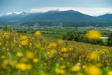 A hill view over Furano