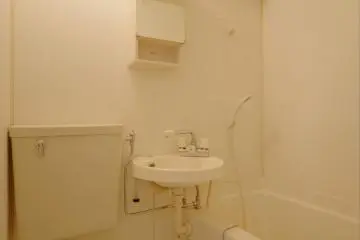 Typical apartment bathroom facilities (Photo: Fontana)