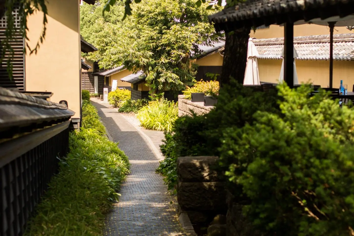 Kurinokomichi (The Chestnut Alley)