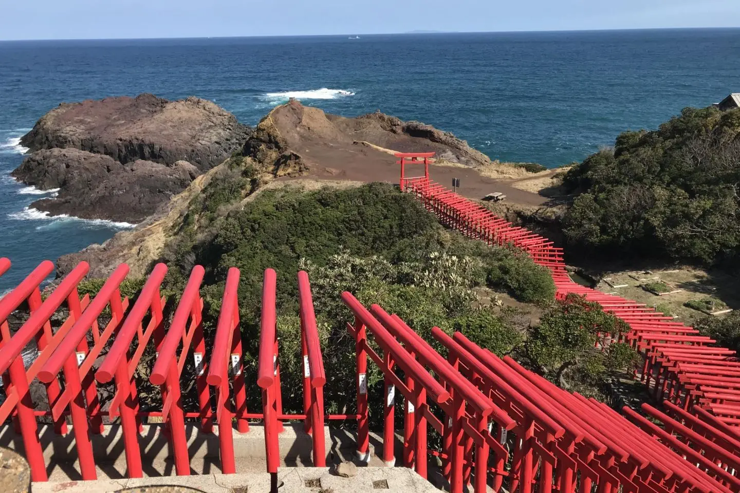 바다를 내다보며 (저작권: Kota Hasegawa)