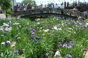 A view of the garden and its bridges