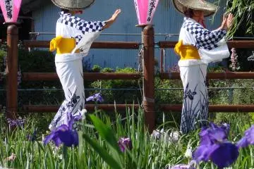 Women dancing at Itako's Iris Festival