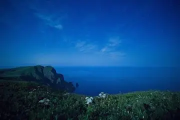 The pearl white moonlight creates a surreal atmosphere