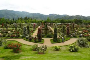 <p>ดื่มด่ำกับสวนกุหลาบที่สวยงามจากศาลาบนของเนินเขา</p>