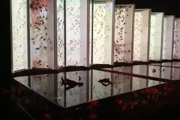 Lights, groovy music and water create a surreal show.