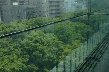 From the upper floors, you can see a river of tree tops in the street below.