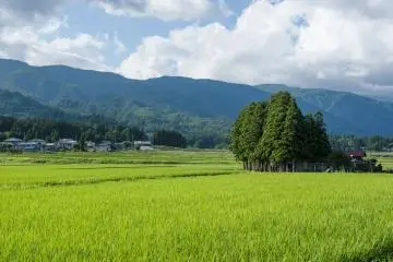Photo: Yamagata Prefecture