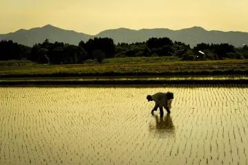 Photo: Yamagata Prefecture