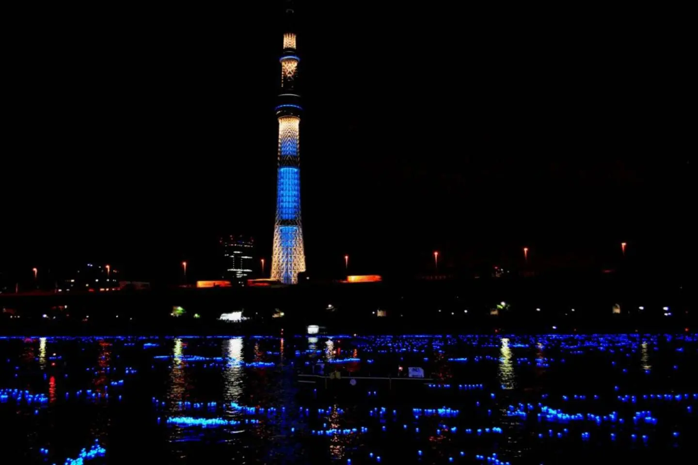 Tokyo Hotaru Festival 2013