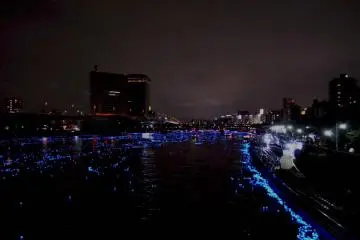 View from the bridge