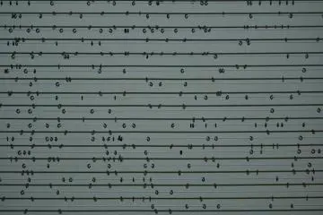 Small and tiny rings that move alongside their shadows.