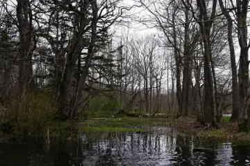 We take a break at a calm area of the river