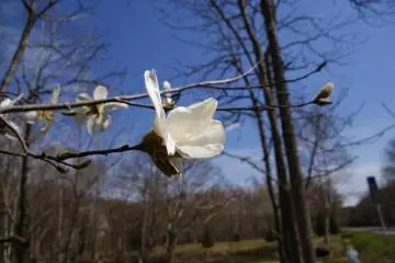 Spring has finally arrived at the lake